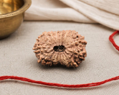 Natural 17 Mukhi Indonesian rudraksha bead with central dark hole on beige fabric