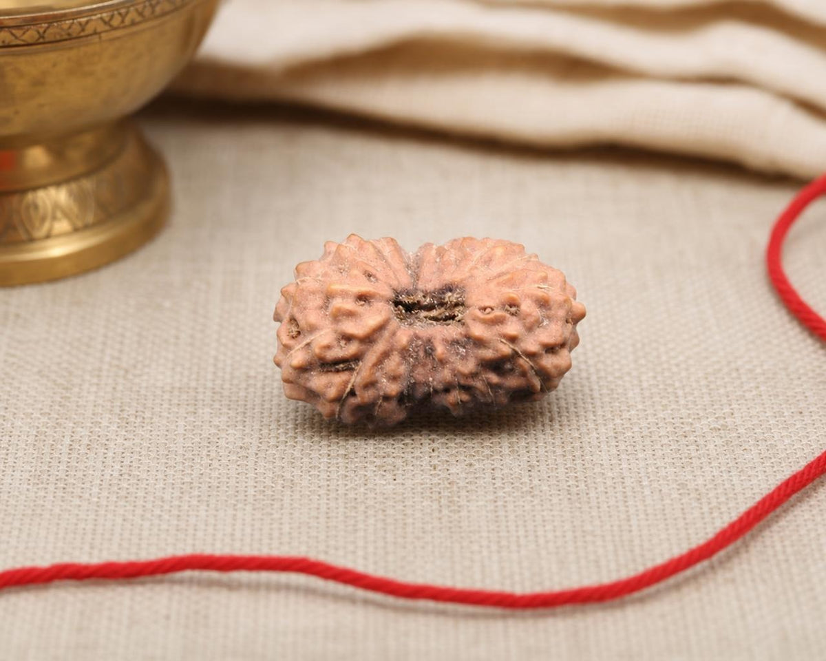 Natural 17 mukhi rudraksha bead with carved face details on beige textured background