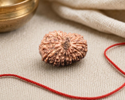 Natural 17 Mukhi rudraksha bead with carved face detail on red thread
