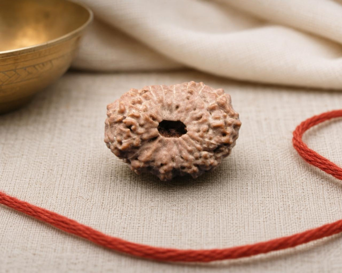 Natural 17 Mukhi rudraksha bead with a red thread on beige fabric, showing the face and center hole