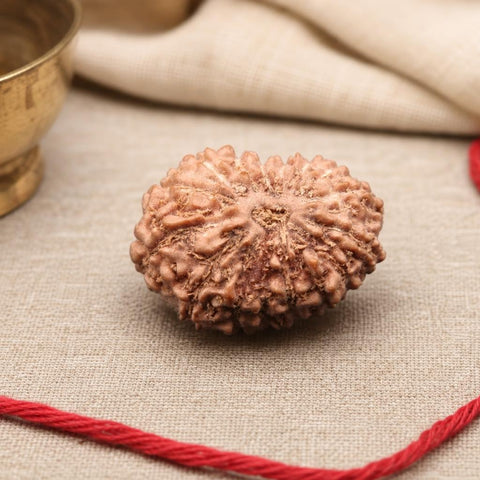 16 Mukhi Indonesia Natural Rudraksha 18.80 mm Rudraksha Report No. RDQ0044312