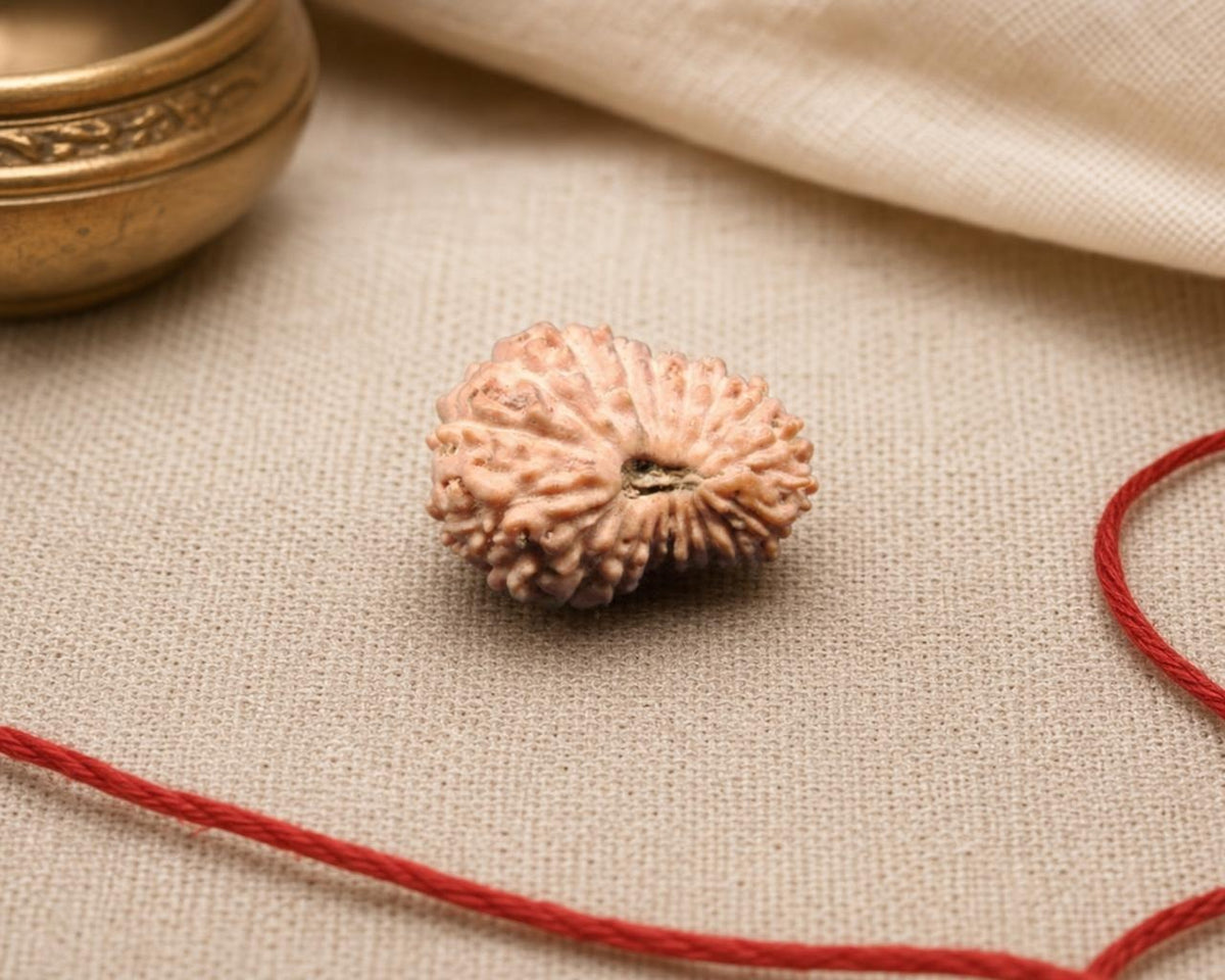 Natural 20 Mukhi Rudraksha bead with textured face, resting on beige fabric with red thread