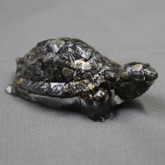 Natural Vastu Pyrite Turtoise (Kacchua) - GemKrishna