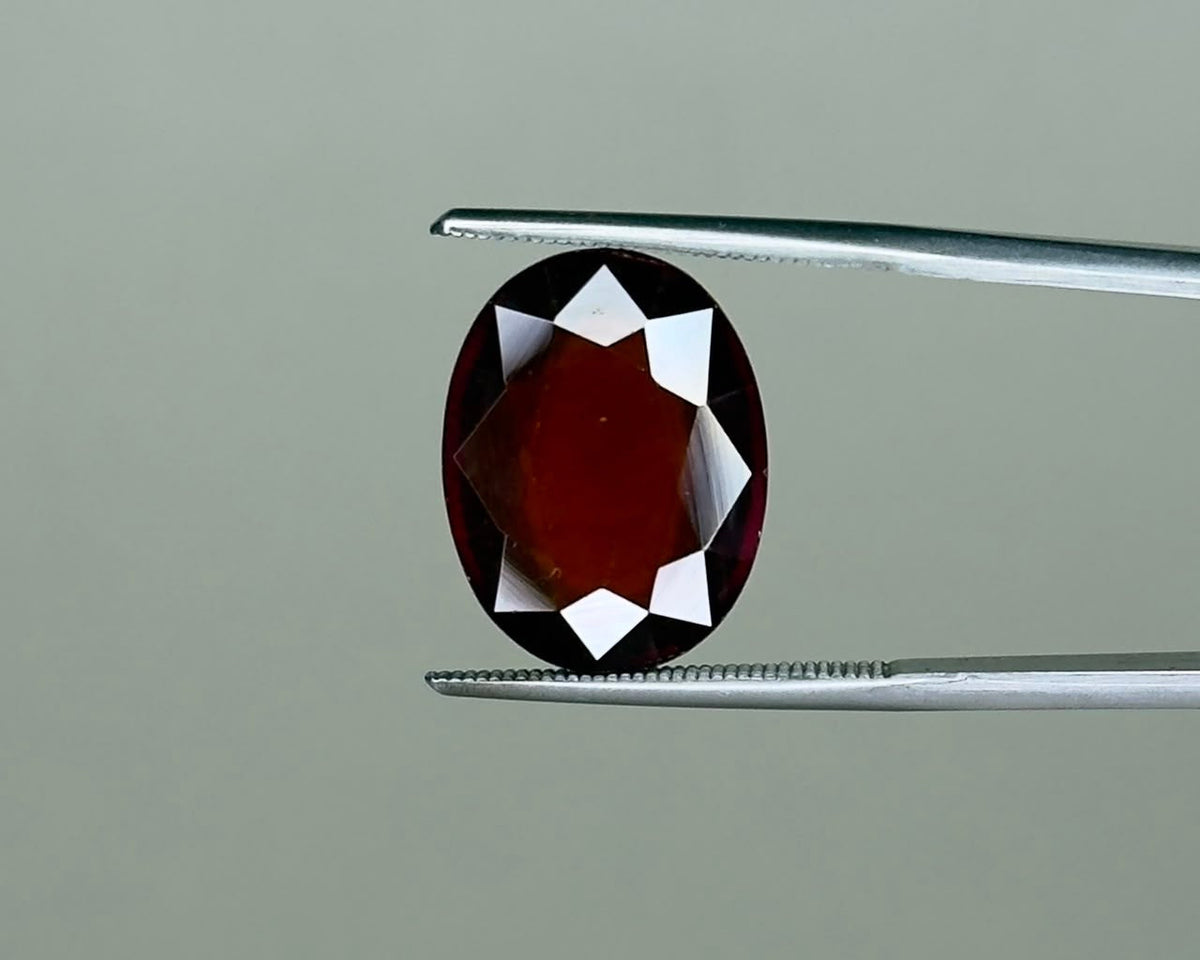 Oval hessonite garnet gemstone held between metal tweezers, close-up view