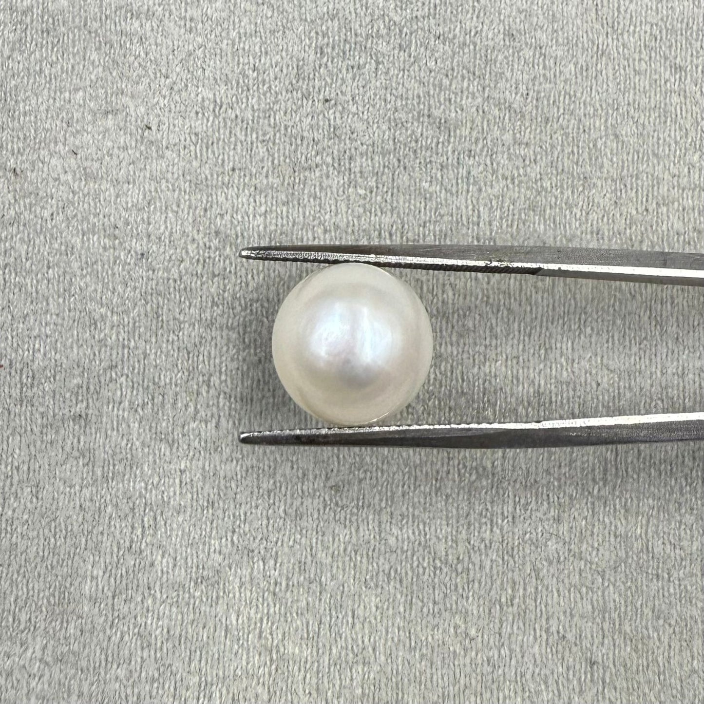 Fresh Water Pearl Round Button  7.50 carat [ Cultured pearl ]