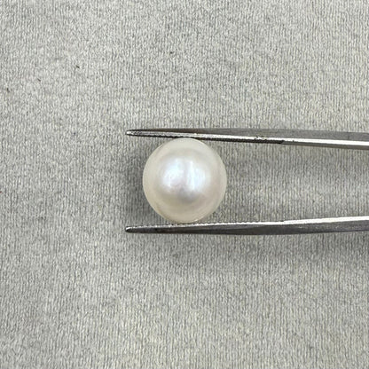 Fresh Water Pearl Round Button  7.50 carat [ Cultured pearl ]