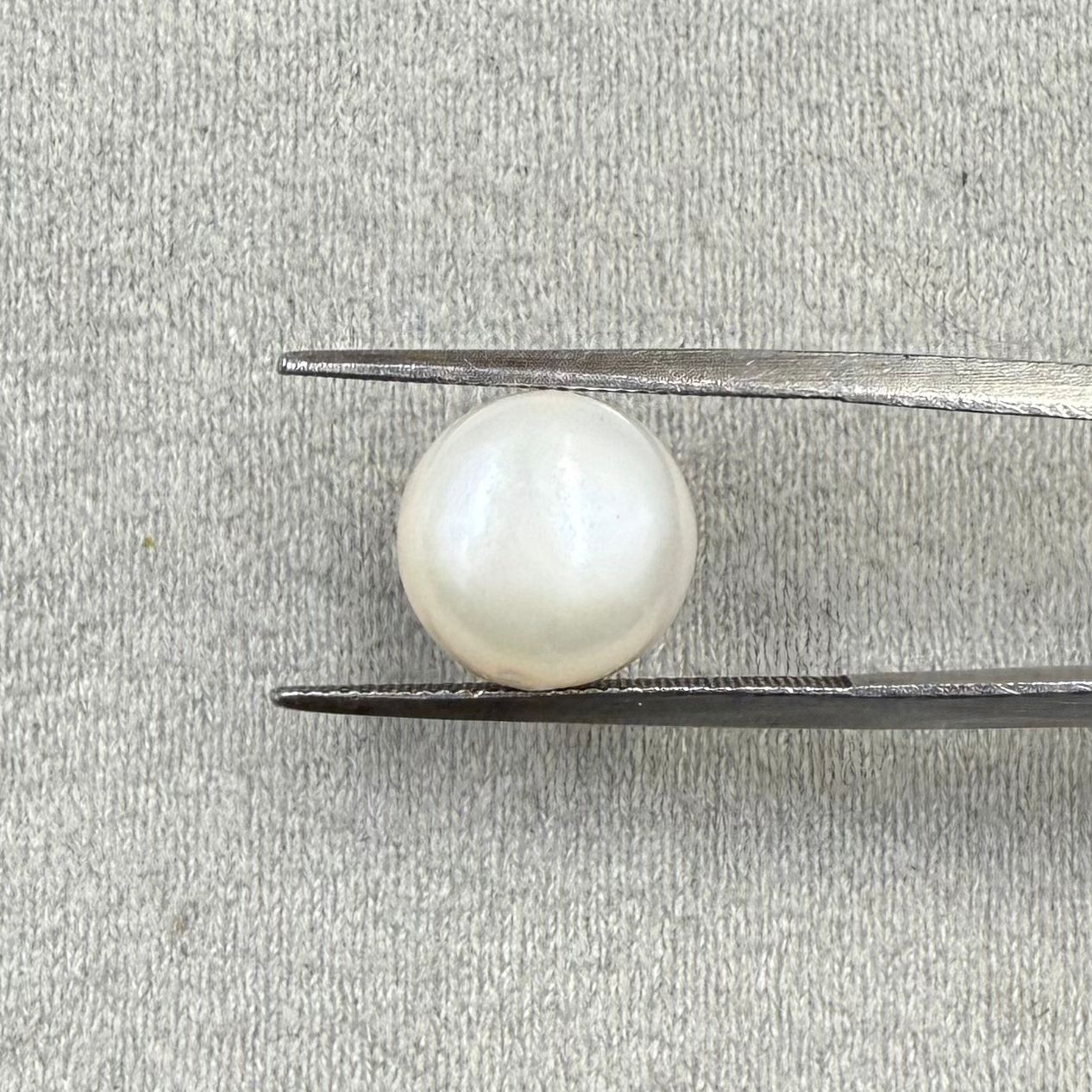 Fresh Water Pearl Round Button 7.38 carat [Cultured pearl]
