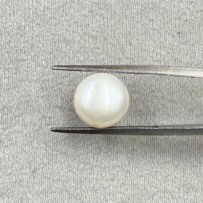 Fresh Water Pearl Round Button 7.38 carat [Cultured pearl]