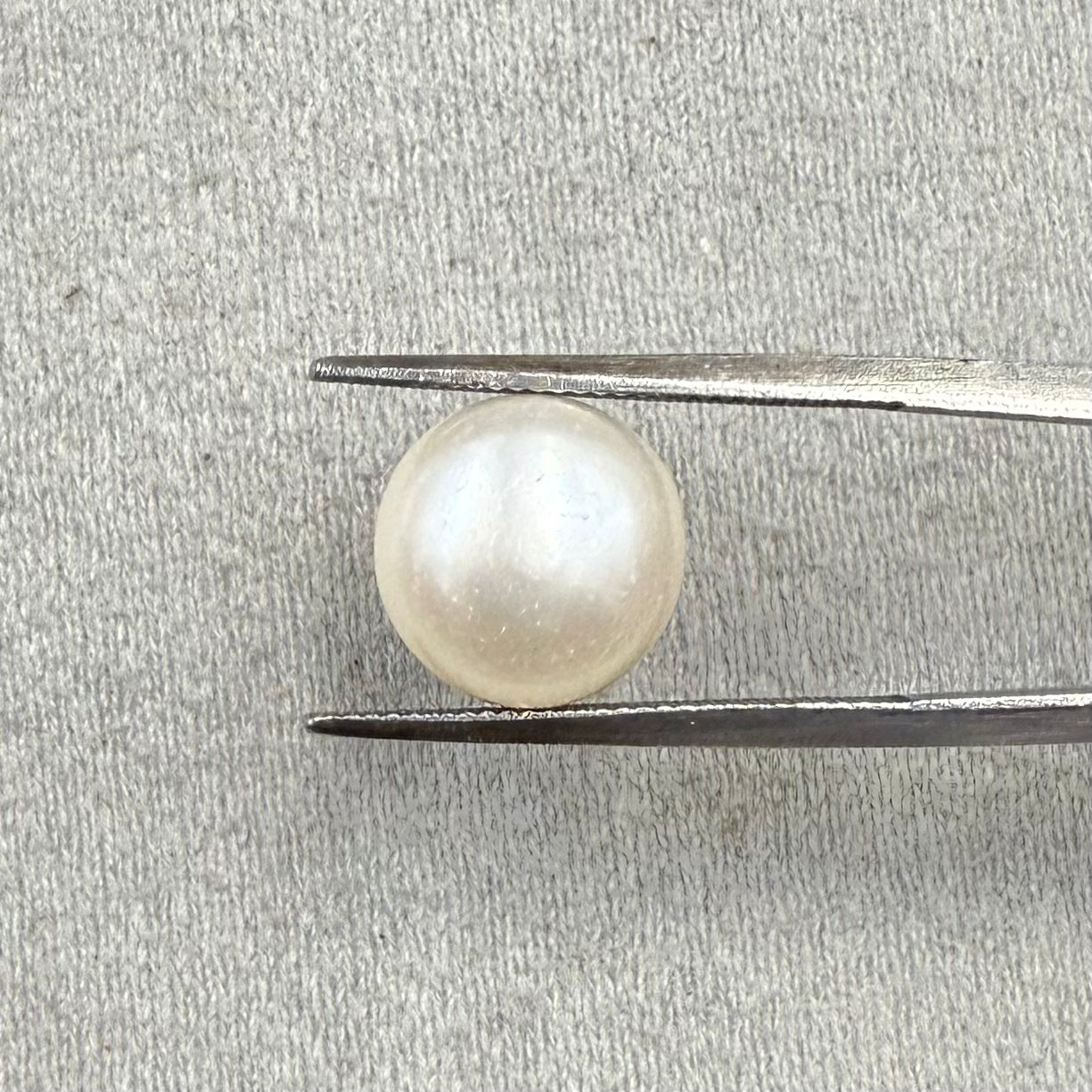 Fresh Water Pearl Round Button 7.44 carat [Cultured pearl]