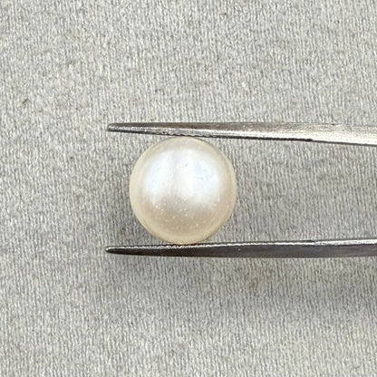 Fresh Water Pearl Round Button 7.44 carat [Cultured pearl]