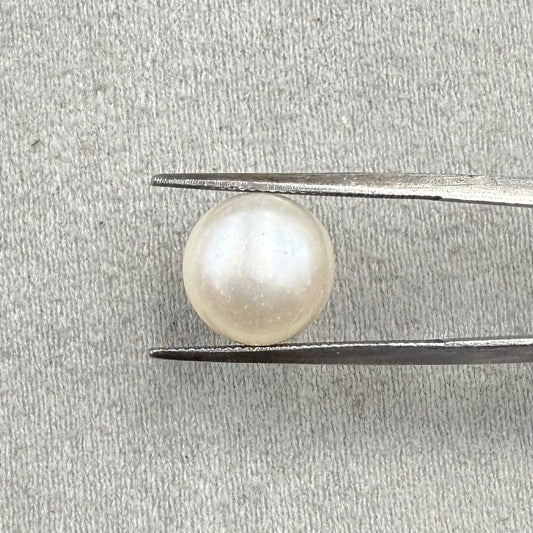 Fresh Water Pearl Round Button 7.44 carat [Cultured pearl]