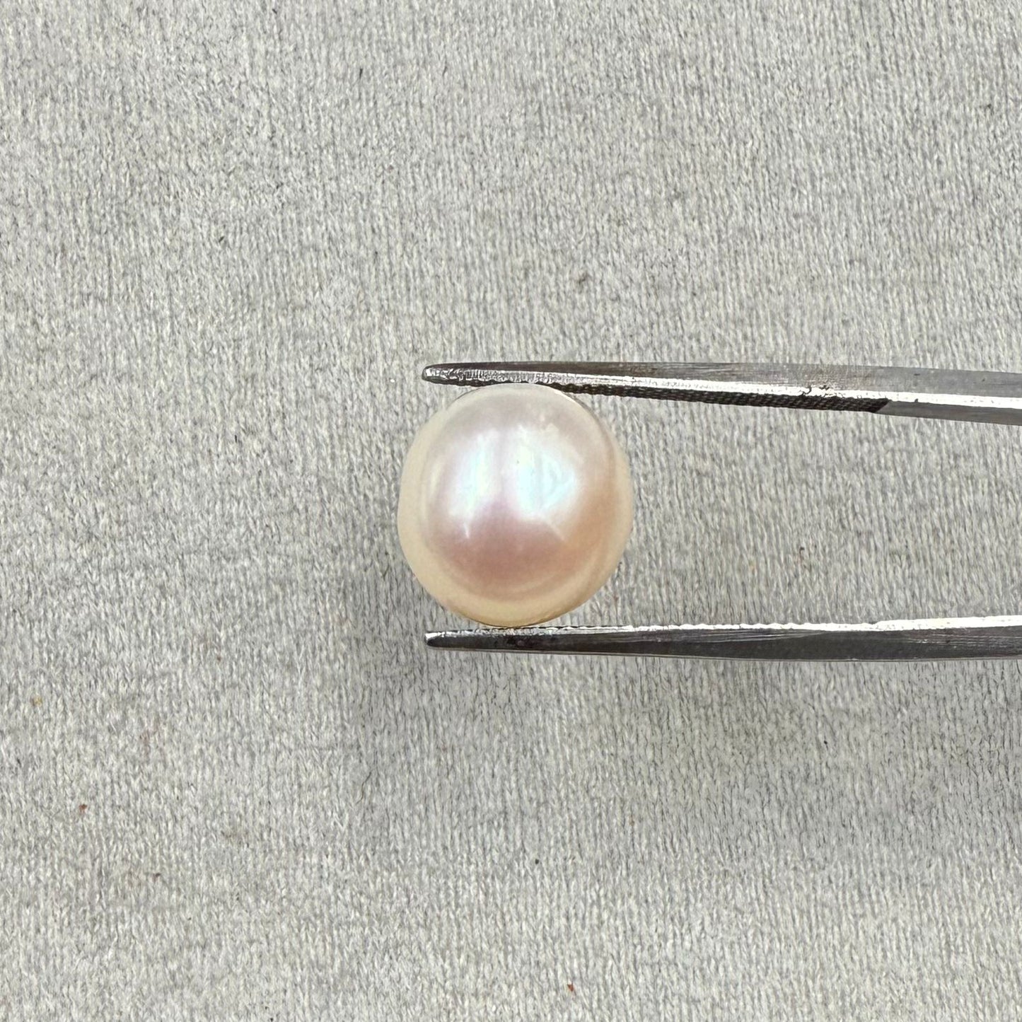 Fresh Water Pearl Round Button 7.89 carat [Cultured pearl]