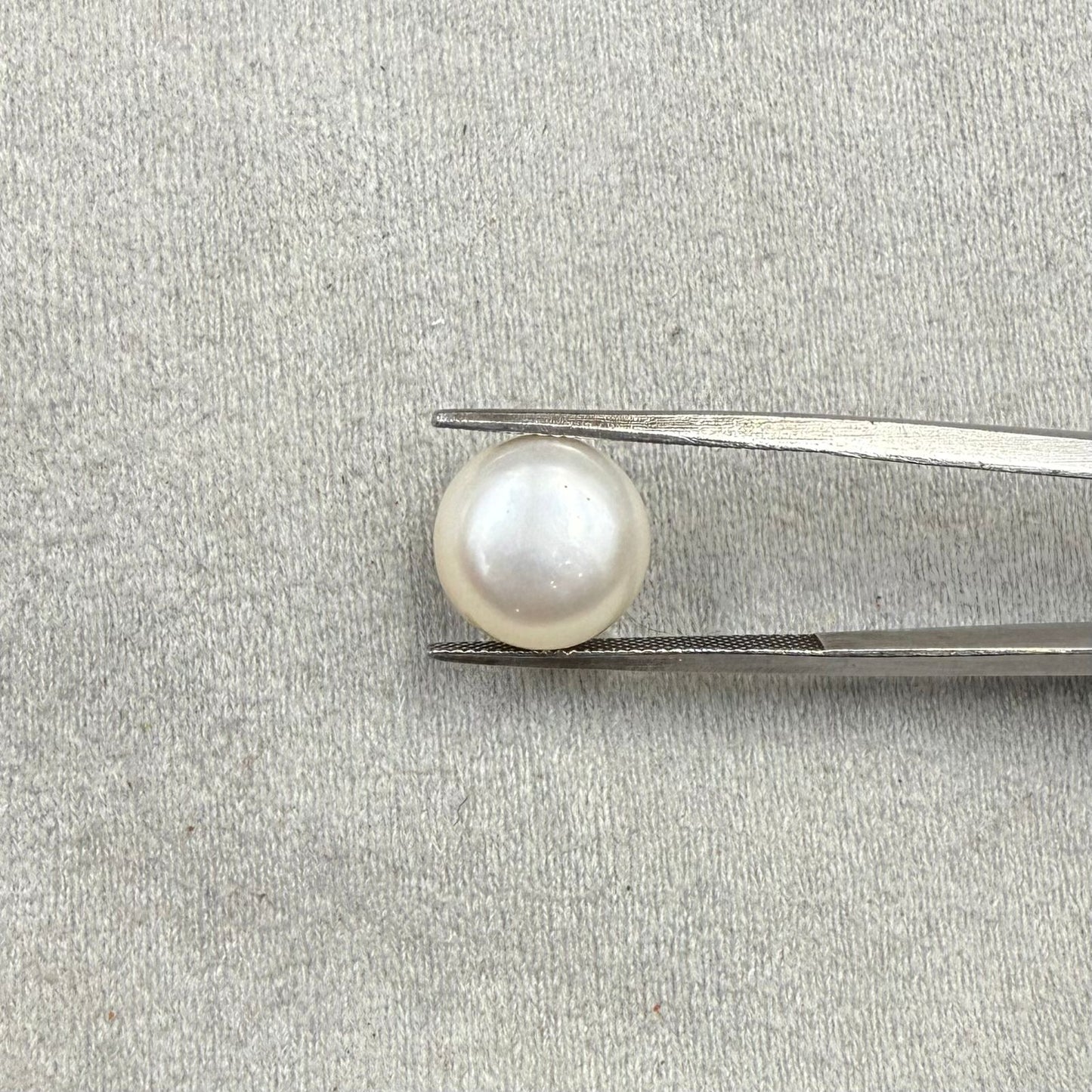 Fresh Water Pearl Round Button 7.47 carat [Cultured pearl]