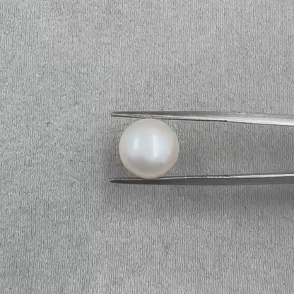 Fresh Water Pearl Round Button  6.73 carat [Cultured pearl]