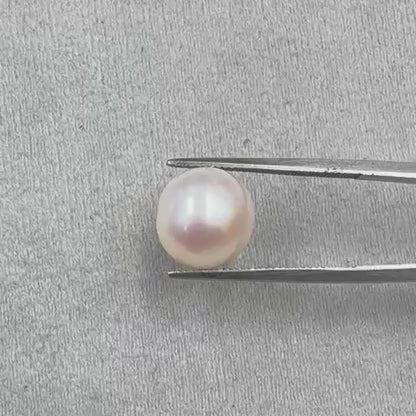 Fresh Water Pearl Round Button 7.89 carat [Cultured pearl]