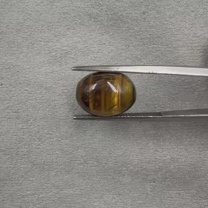 Natural Tiger's Eye Gemstone  Oval Cabochon  CS24764  7.24 ct