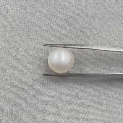 Fresh Water Pearl Round Button 7.44 carat [Cultured pearl]