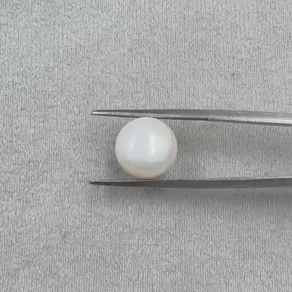 Fresh Water Pearl Round Button 7.38 carat [Cultured pearl]