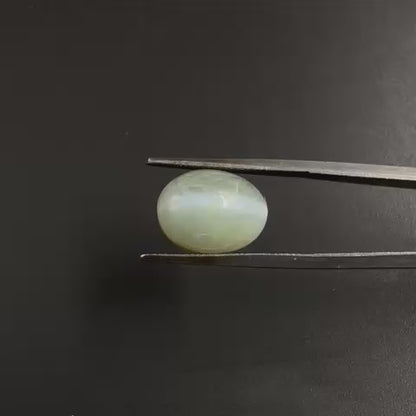 Natural Chrysoberyl Cat's eye  10.27 carat