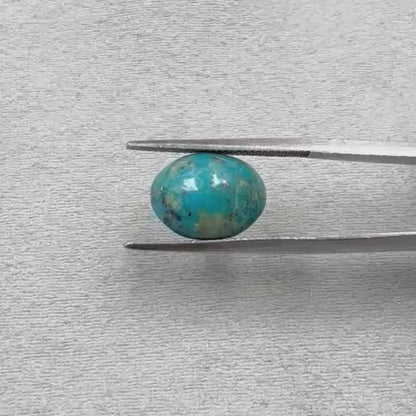 Natural Turquoise 5.54 ct Certificate No. CSN089258