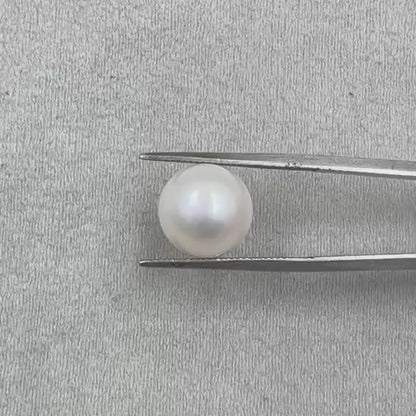 Fresh Water Pearl Round Button  7.50 carat [ Cultured pearl ]