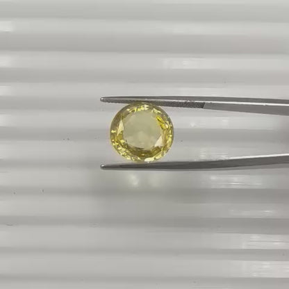 Natural Yellow sapphire  Round Shaped Cut  7.69 carat