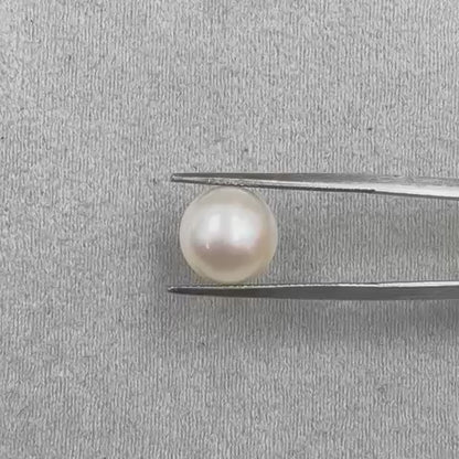 Fresh Water Pearl Round Button  6.11 carat [ Cultured Pearl ]