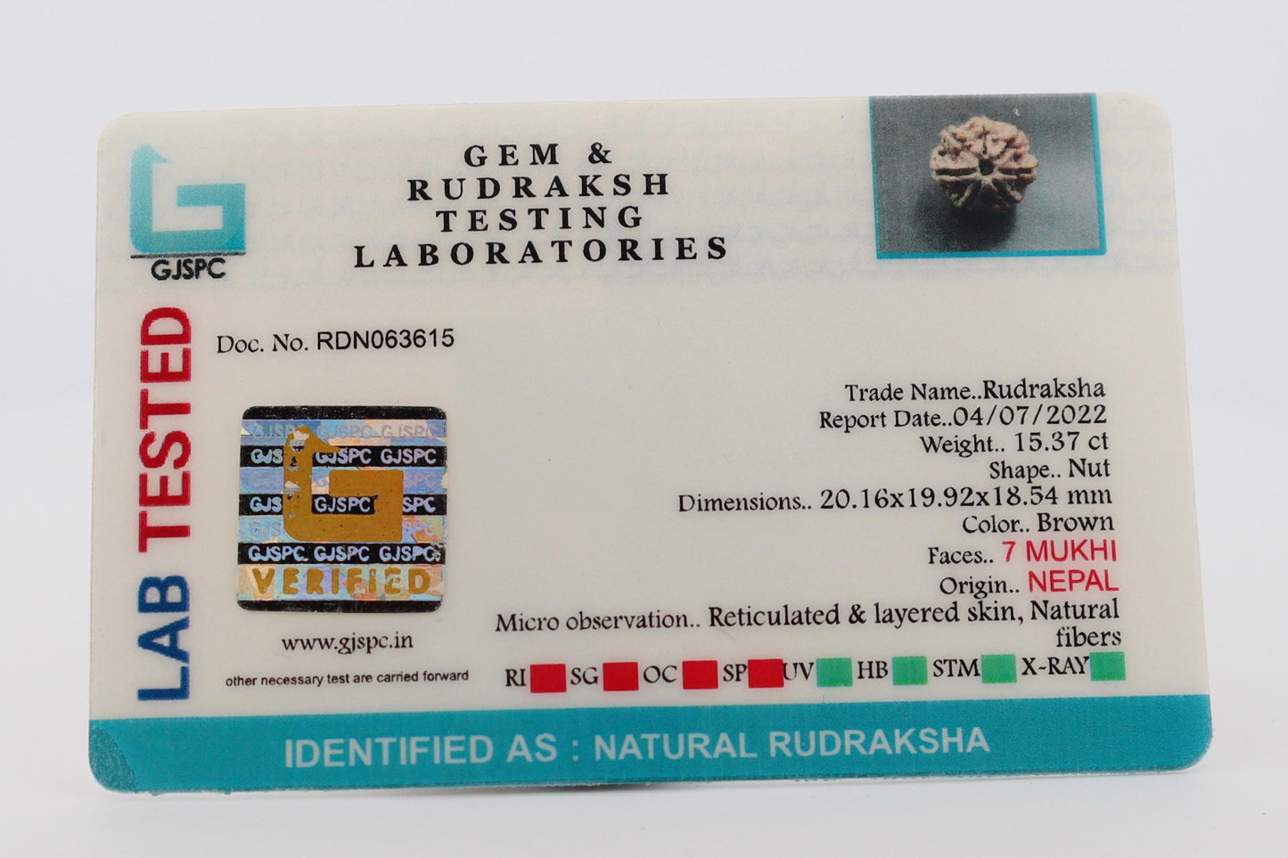 Natural 7 Mukhi Rudraksha (Nepal)