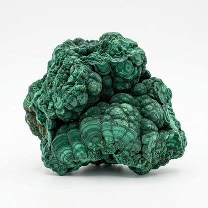 Raw natural malachite crystal cluster with layered green bands on white background