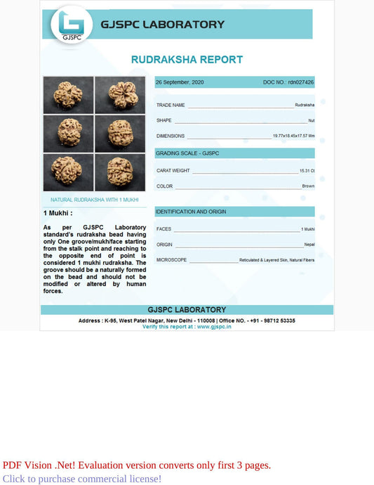 1 Mukhi Rudraksha Certificate: RDN027426