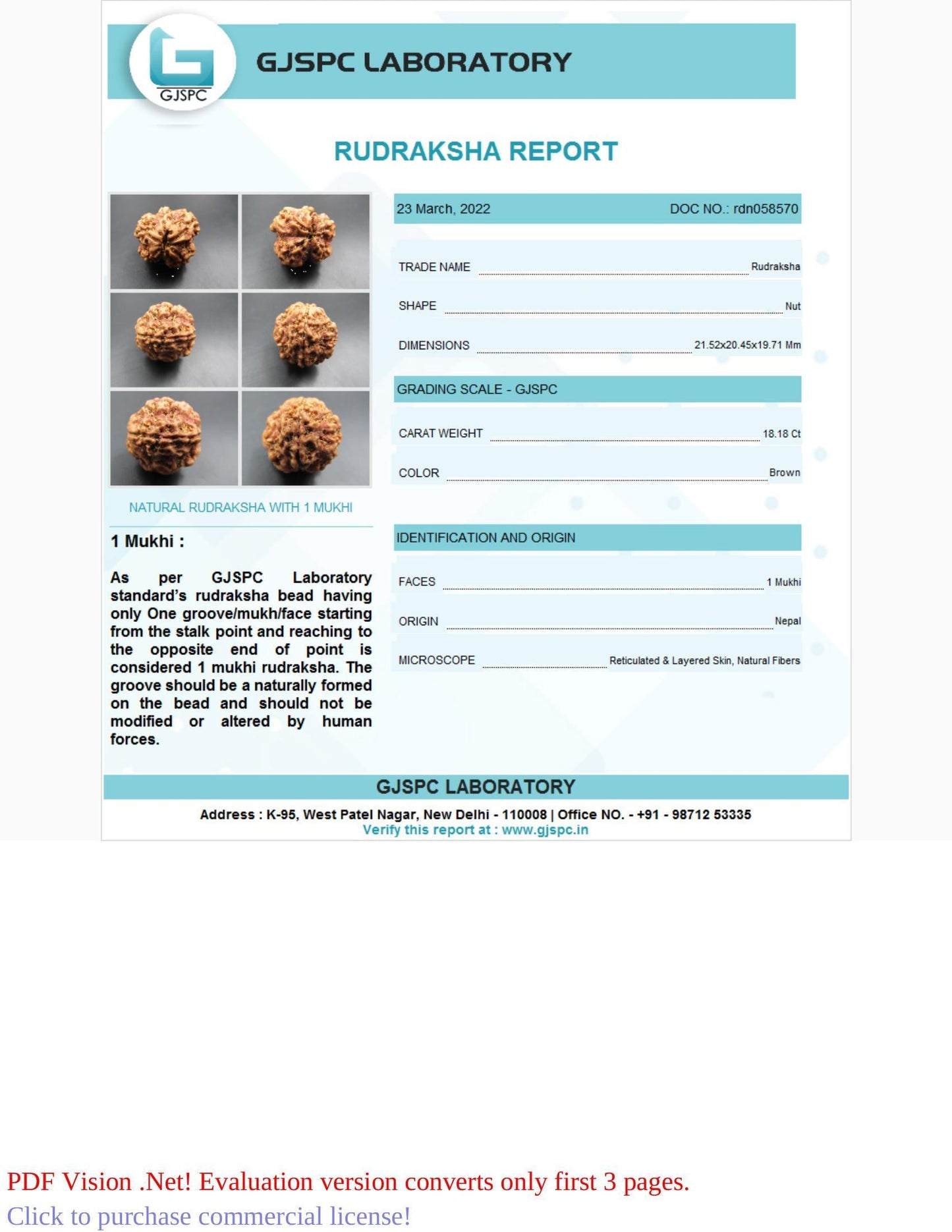 1 Mukhi Rudraksha Certificate: RDN058570