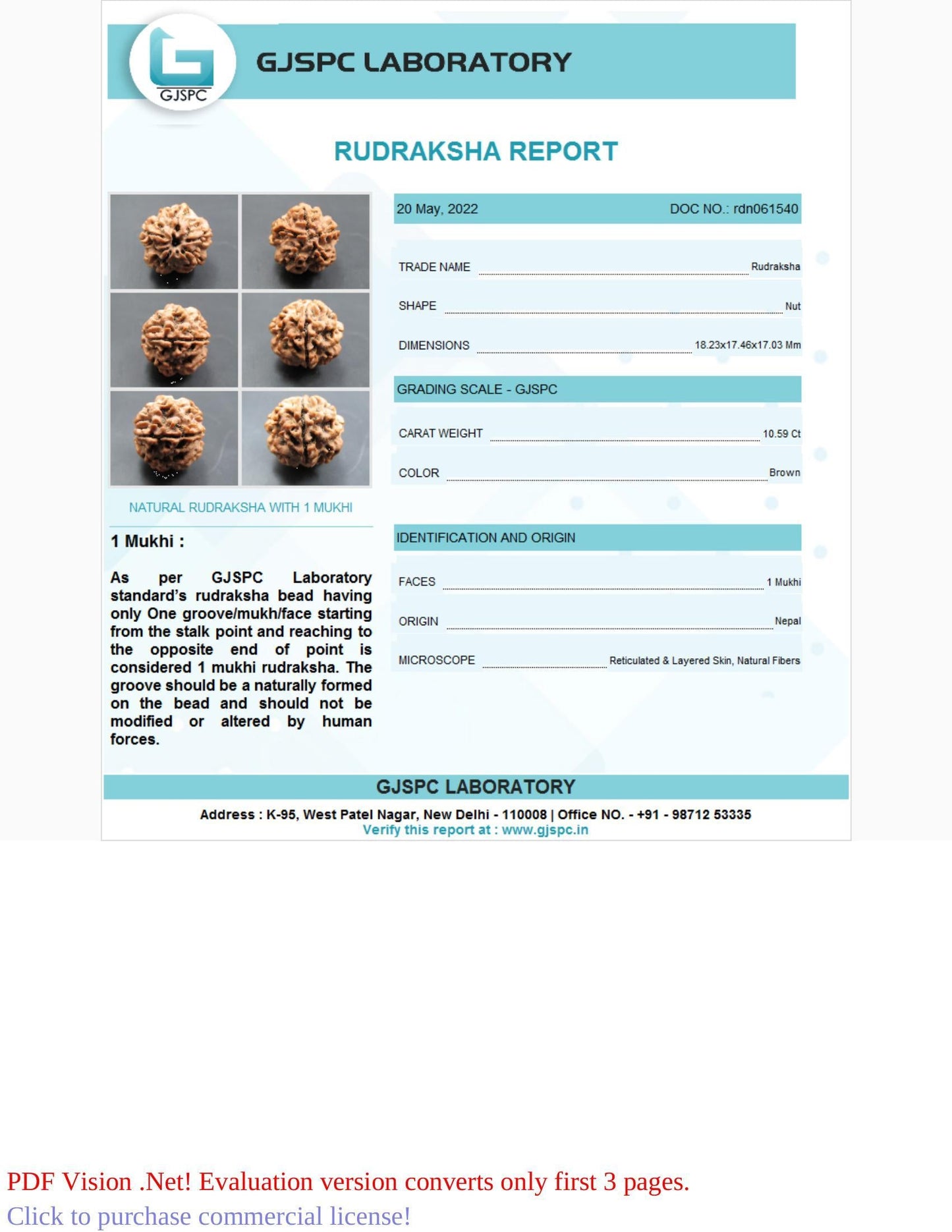 1 Mukhi Rudraksha Certificate: RDN061540