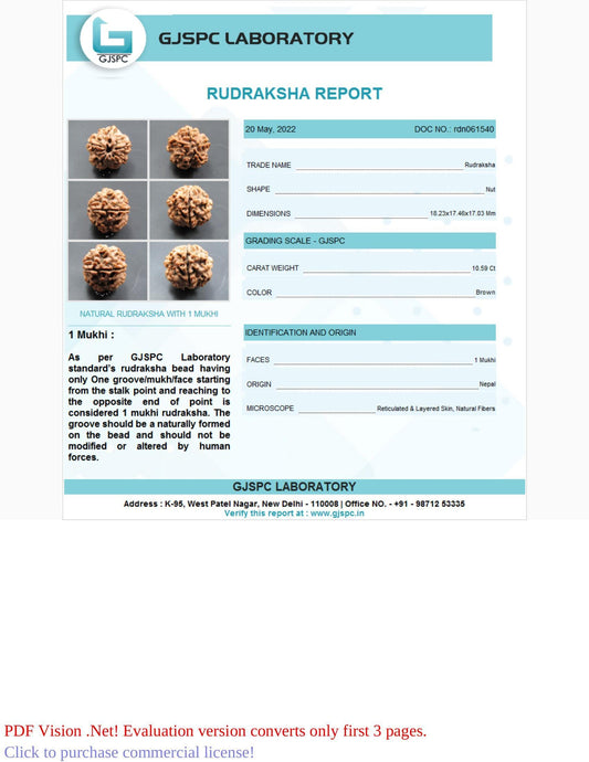 1 Mukhi Rudraksha Certificate: RDN061540
