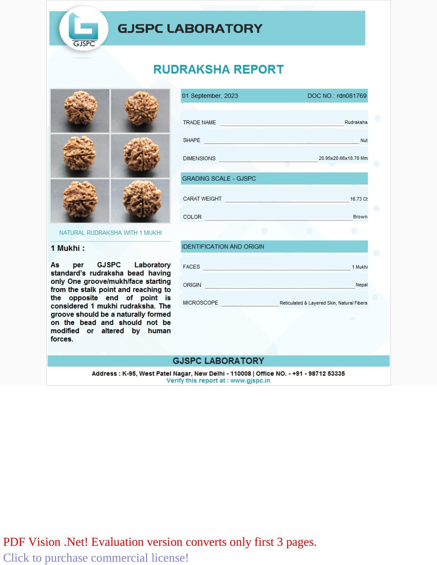1 Mukhi Rudraksha Certificate: RDN081769