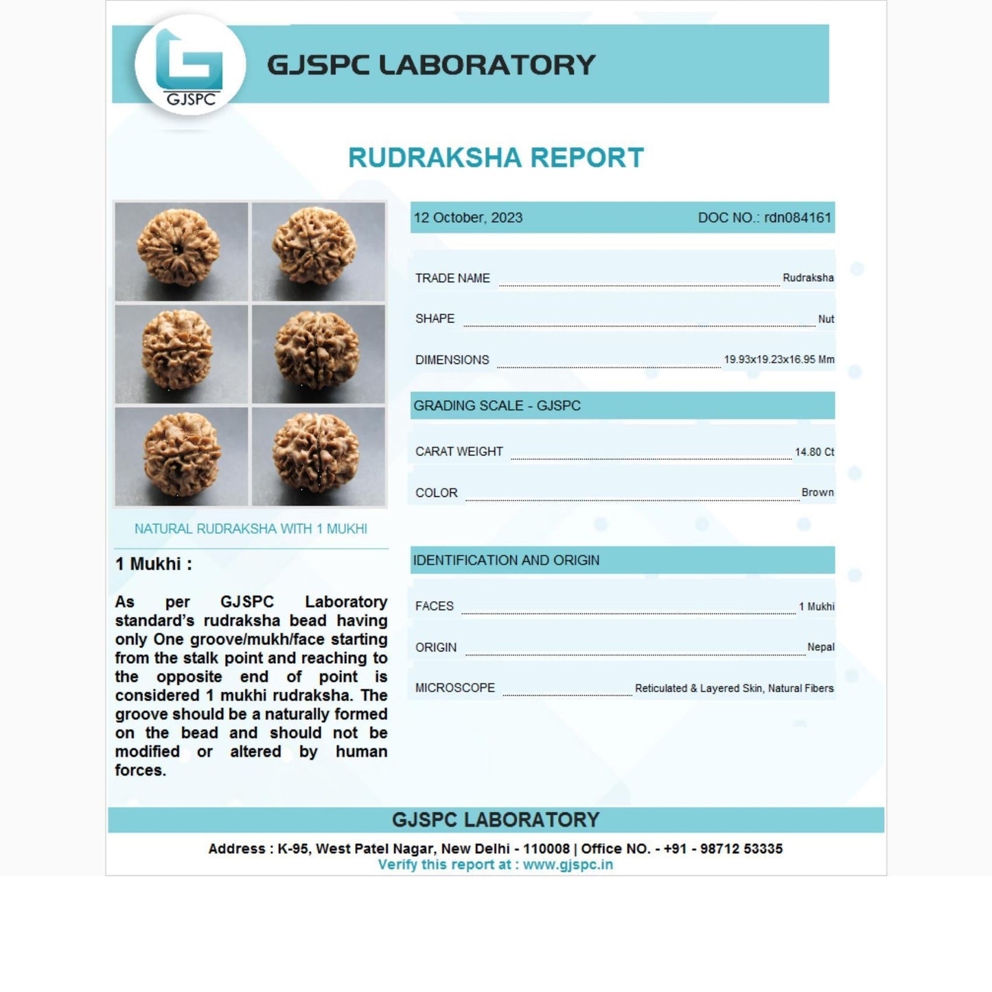 1 Mukhi Rudraksha Certificate: RDN084161