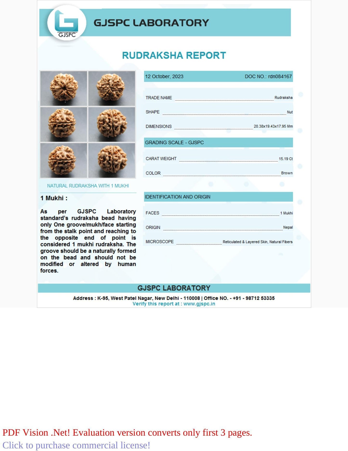 1 Mukhi Rudraksha Certificate: RDN084167
