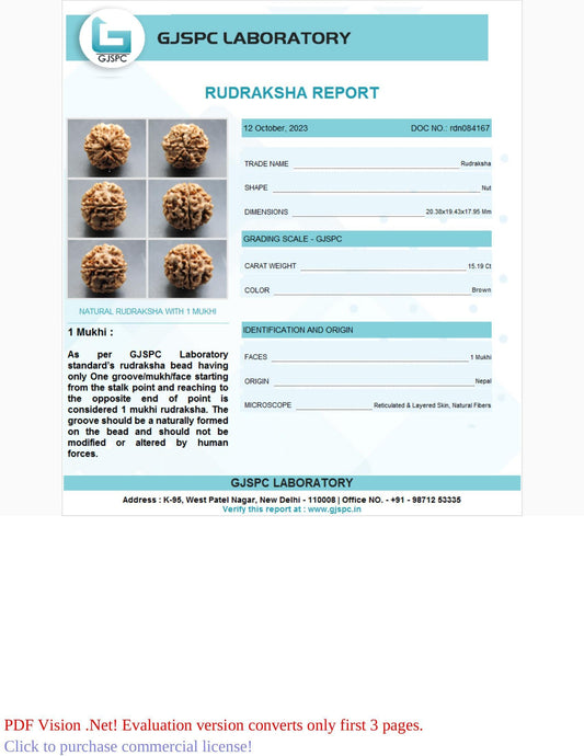 1 Mukhi Rudraksha Certificate: RDN084167