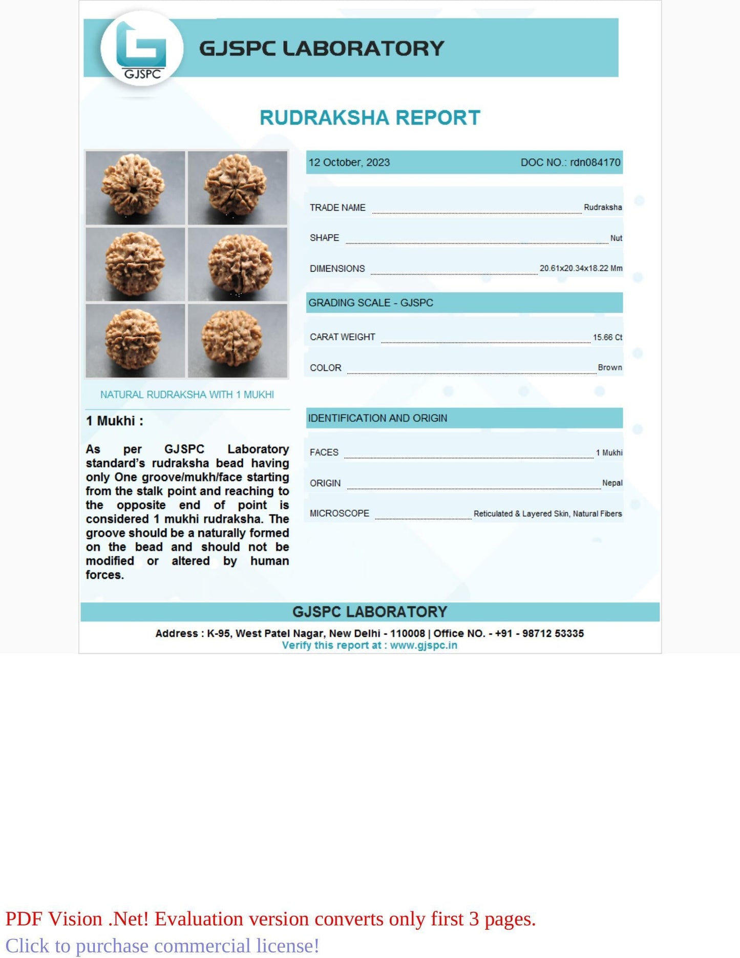 1 Mukhi Rudraksha Certificate: RDN084170