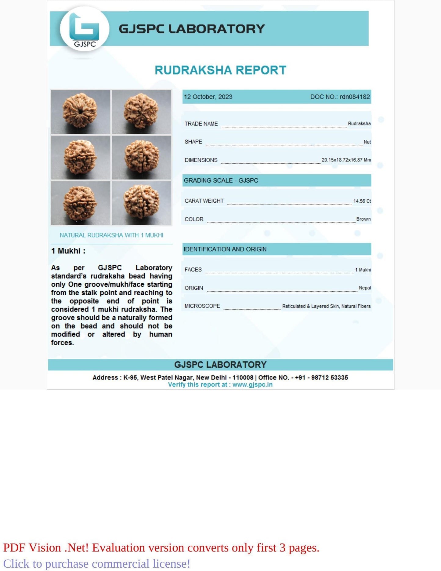 1 Mukhi Rudraksha Certificate: RDN084182