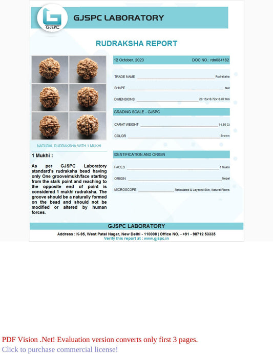 1 Mukhi Rudraksha Certificate: RDN084182