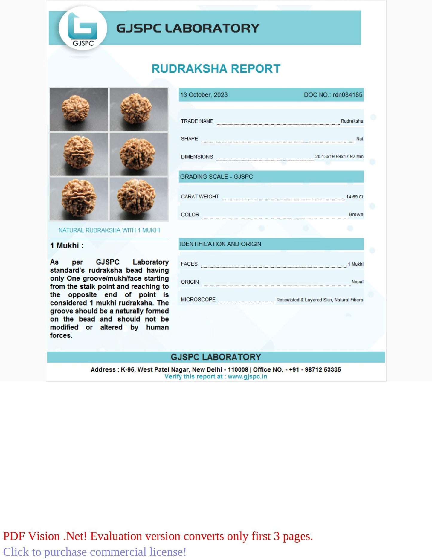 1 Mukhi Rudraksha Certificate: RDN084185