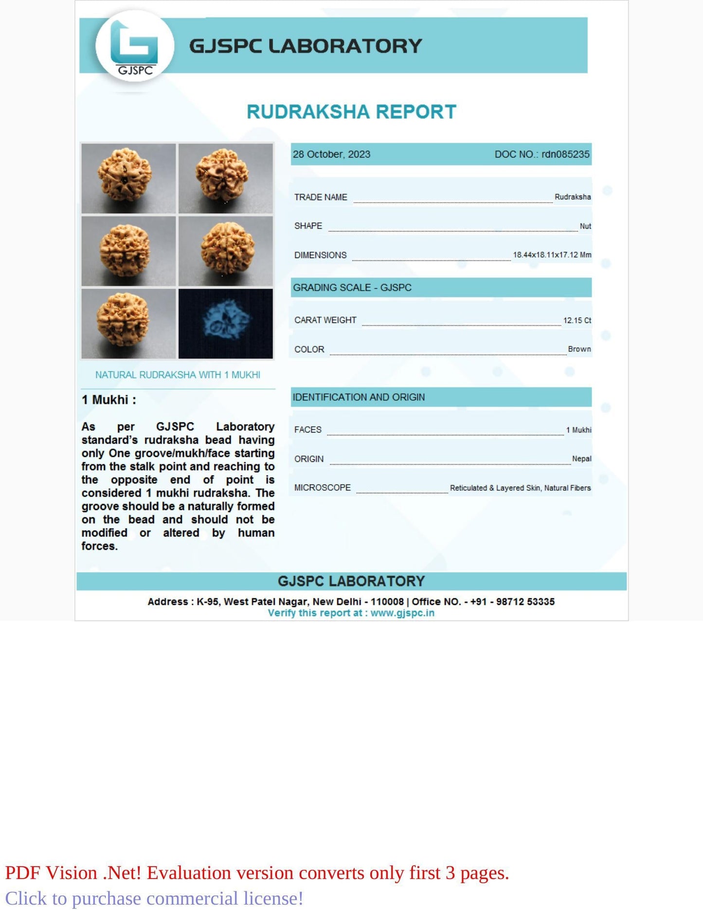 1 Mukhi Rudraksha Certificate: RDN085235