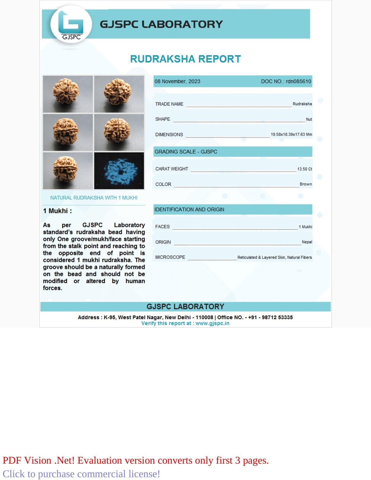 1 Mukhi Rudraksha Certificate: RDN085610