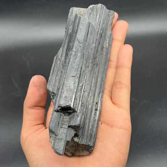 Large rough black tourmaline crystal held in hands, showing long striated surface
