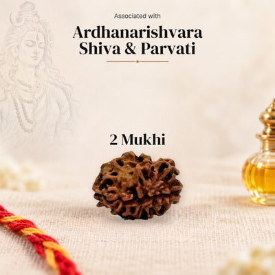 2 Mukhi Himalayan Rudraksha bead on beige linen with moli thread and oil bottle, faded sketch of Ardhanarishvara, associated with Ardhanarishvara.