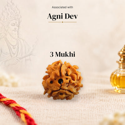 3 Mukhi Himalayan Rudraksha bead on beige linen with moli thread and oil bottle, faded sketch of Agni Dev, associated with Agni Dev.