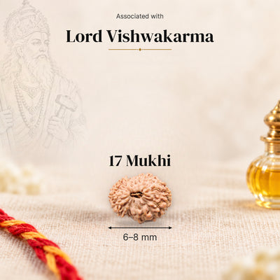 17 Mukhi Indonesia Rudraksha bead, 6–8 mm, on beige linen with moli thread and oil bottle, size arrow below, associated with Lord Vishwakarma.