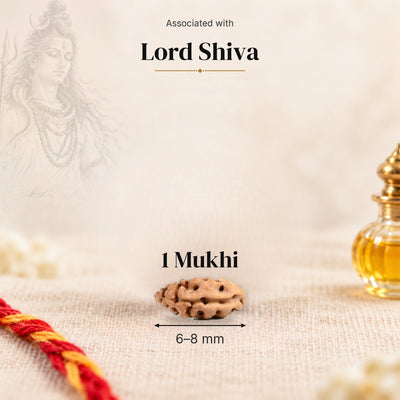 1 Mukhi Indonesia Rudraksha bead, 6–8 mm, on beige linen with moli thread and oil bottle, size arrow below, associated with Lord Shiva.