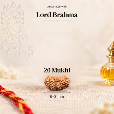 20 Mukhi Indonesia Rudraksha bead, 6–8 mm, on beige linen with moli thread and oil bottle, size arrow below, associated with Lord Brahma.