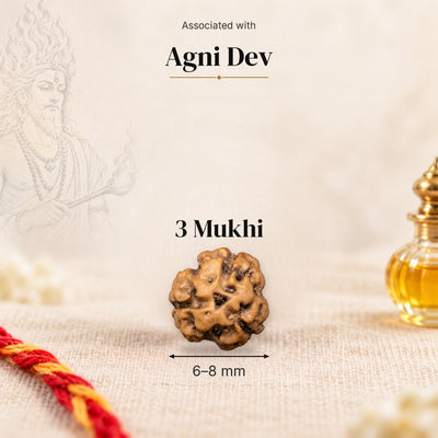 3 Mukhi Indonesia Rudraksha bead, 6–8 mm, on beige linen with moli thread and oil bottle, size arrow below, associated with Agni Dev.